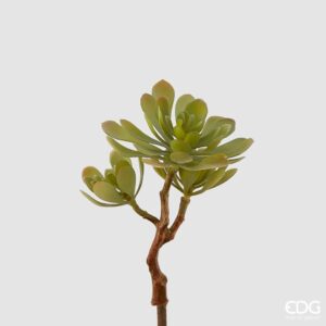 Succulent West artificiale