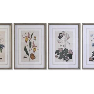 Set 4 stampe botaniche 50*70